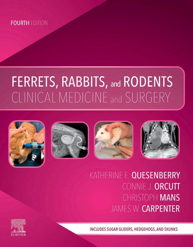 Ferrets, Rabbits, and Rodents Clinical Medicine and Surgery, 4th Edition